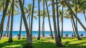 Una playa con palmeras y sillas de descanso mirando al océano.
