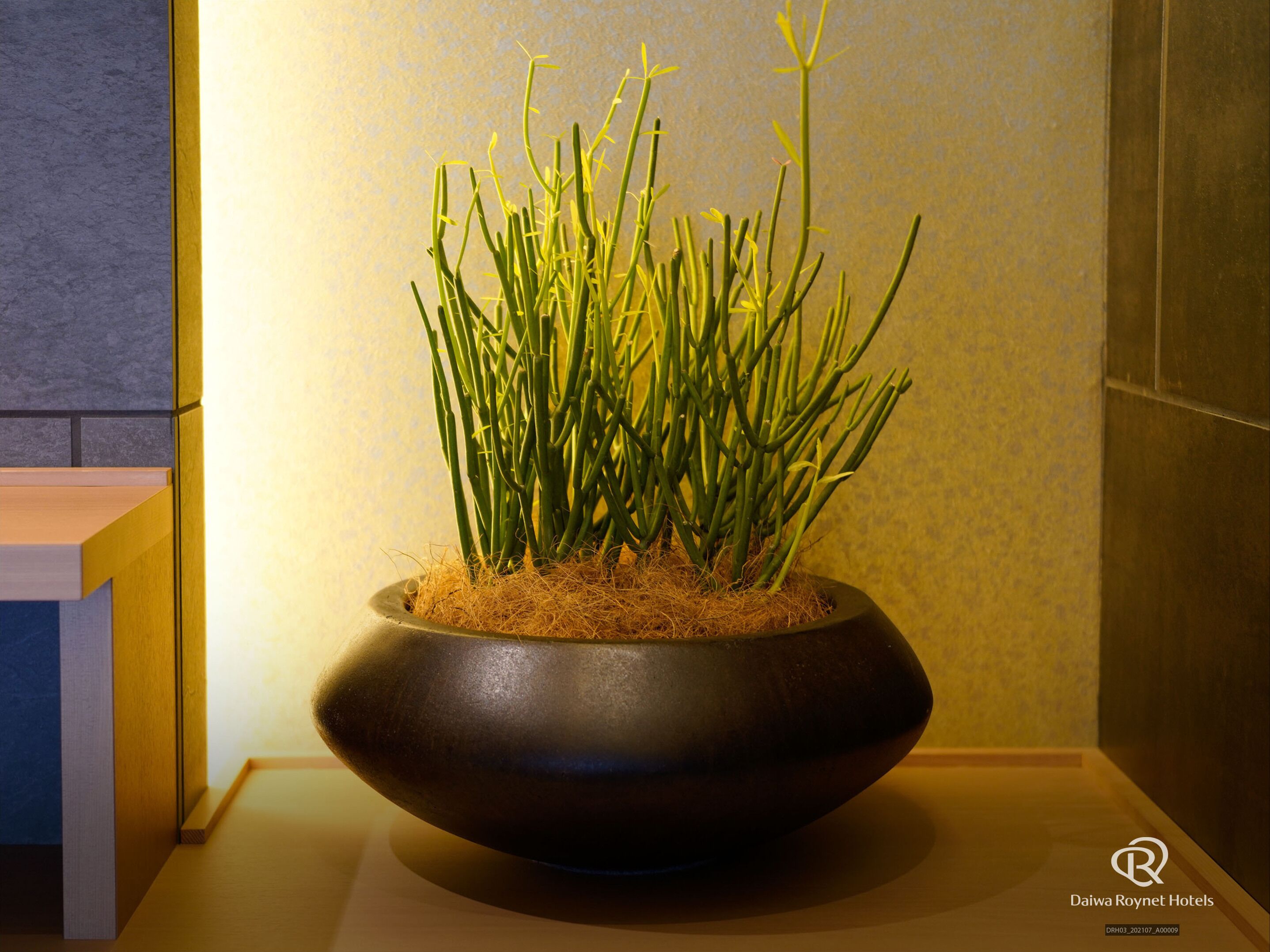 A dark, oval-shaped planter with green plants on a wooden surface against a textured wall.