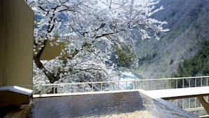 Un área de aguas termales con una terraza de madera y vistas a cerezos en flor y una montaña.