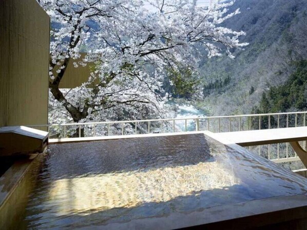 [Annex] Twin Room with Open-air Bath, Valley View, Type C, Non Smoking | Bathroom | Free toiletries, hair dryer, slippers, electronic bidet