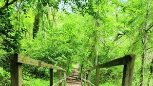 A wooden bridge with railings leading into a forested area. - Cozy Canyon Lake Tiny House – Stunning Views & Great Location (Canyon Lake)