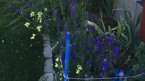 A red wooden staircase leading to a covered area with a garden featuring yellow and purple flowers.