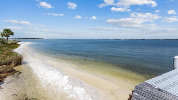A beach with clear water, a wooden walkway, and a palm tree.