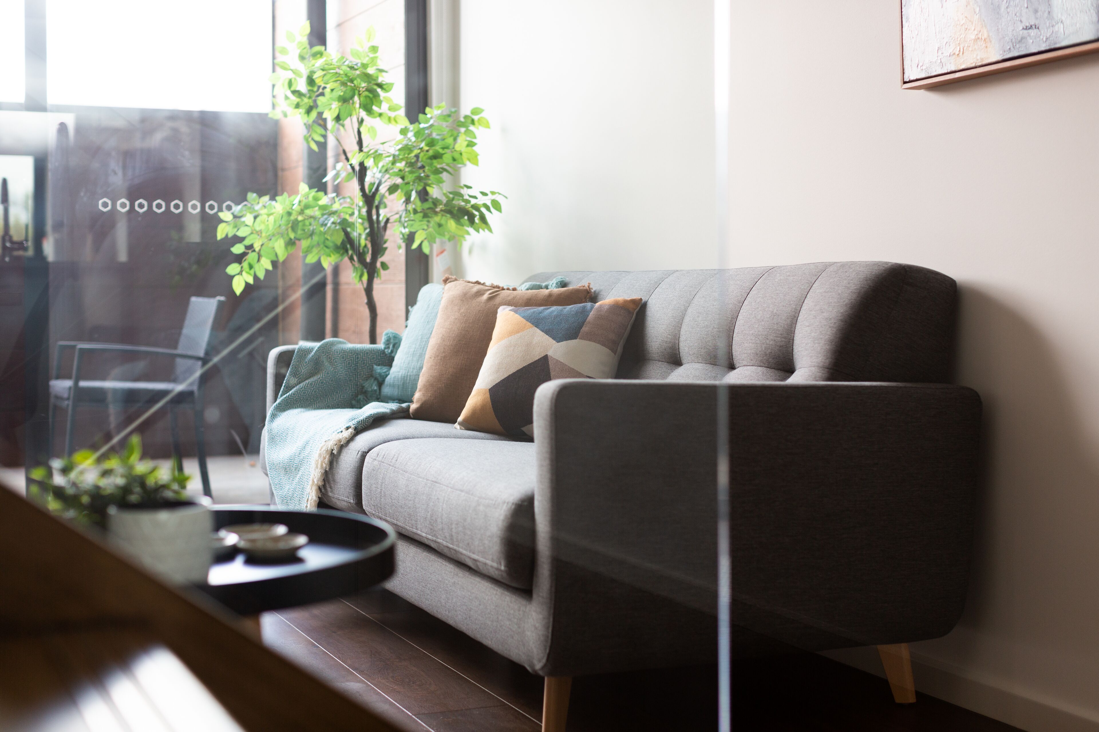 Una sala de estar moderna con un sofá gris, una planta en maceta y una mesa de centro de vidrio.