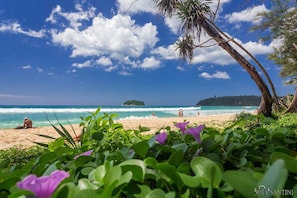 ชายหาด