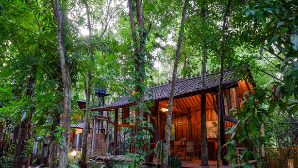 A wooden cabin surrounded by dense forest. - Upala Java Huise (Bangunjiwo)