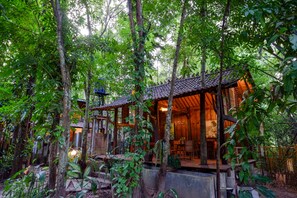 A wooden cabin surrounded by dense forest. - Upala Java Huise (Bangunjiwo)