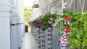 Une ruelle étroite ornée de jardinières suspendues.