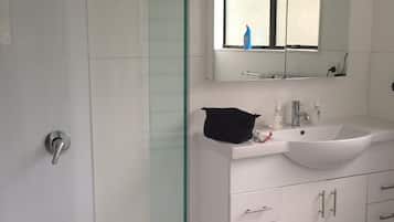 Shower, hair dryer, towels, toilet paper