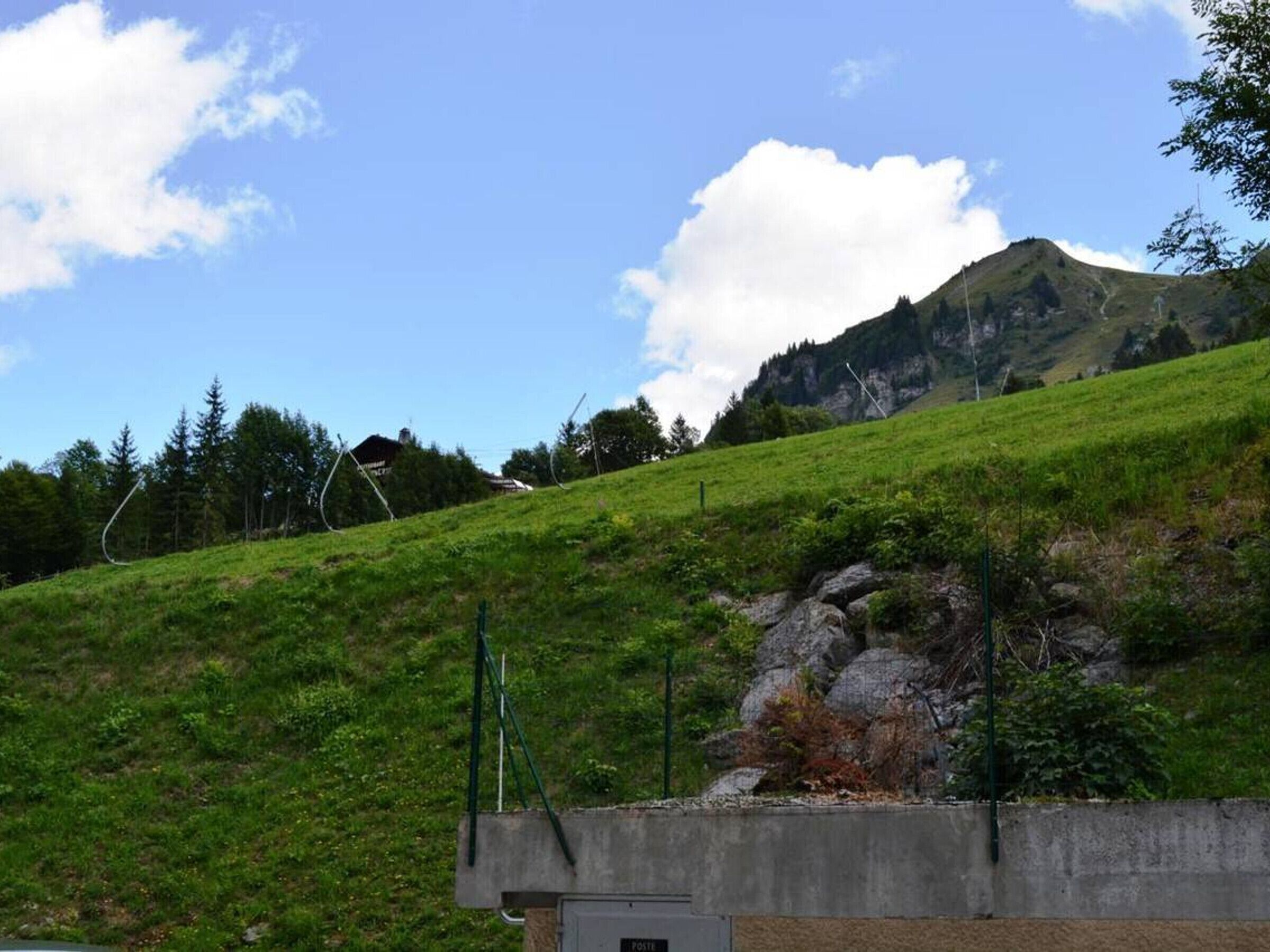 Ein grasbewachsener Hang im Vordergrund, ein Berg im Hintergrund und ein klarer Himmel.