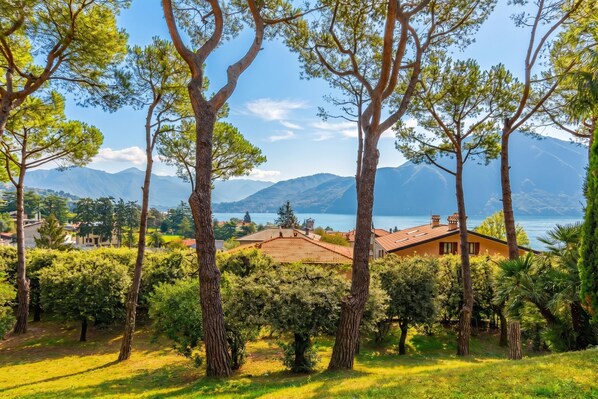 A house surrounded by trees with a view of mountains and a lake.