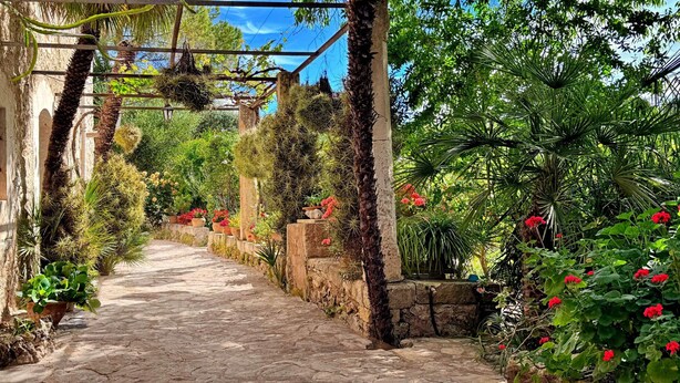 A stone pathway in a garden with various plants and flowers. - Hort Den Gelos (Pollensa / Pollença)