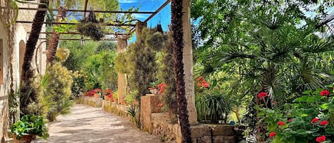 Overnattingsstedets uteområder