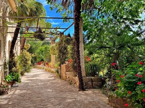 A stone pathway in a garden with various plants and flowers.