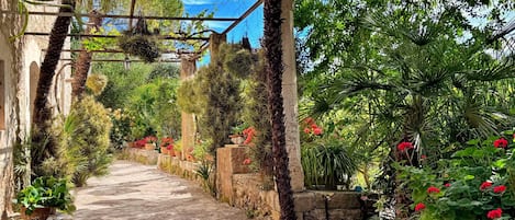 Terrein van de accommodatie