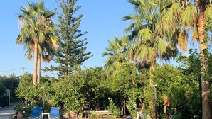 A swimming pool surrounded by palm trees and other greenery, with lounge chairs and a clear blue sky. - Maros Spitaki (Varipetro)