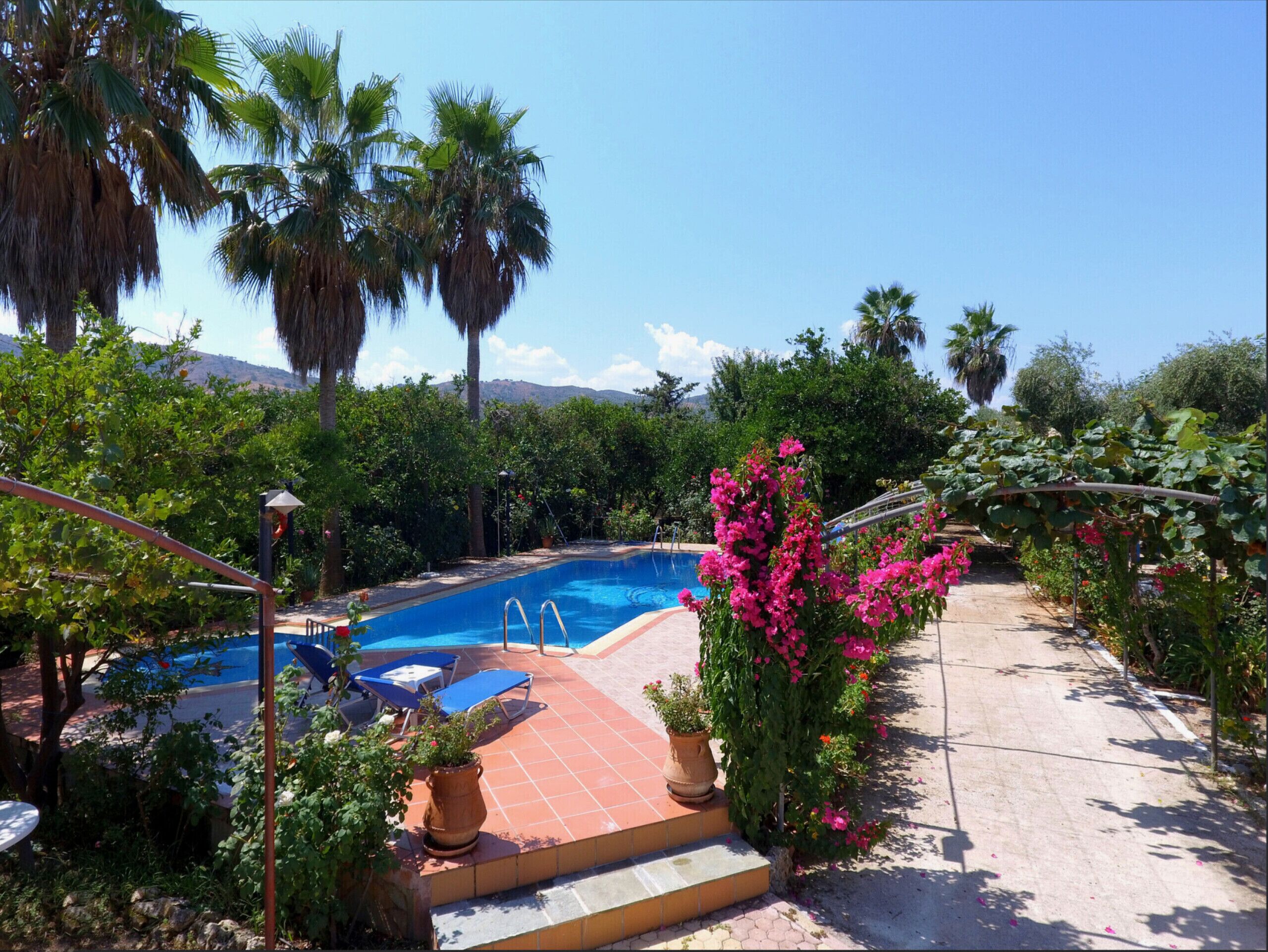 Piscine