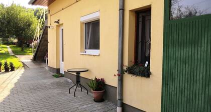 Hévíz and the healing lake