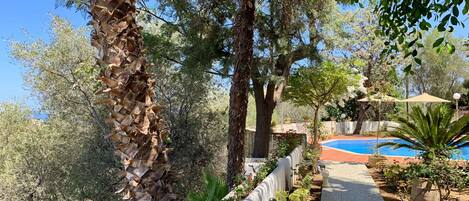 Jardines del alojamiento