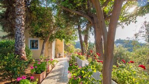 A pathway lined with flowering plants and trees leading to a building with a stone wall and a window. - Villa Clio (Stalos)
