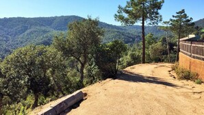 Un sentier de terre serpente à travers une zone boisée, offrant une vue sur une chaîne de montagnes en arrière-plan.