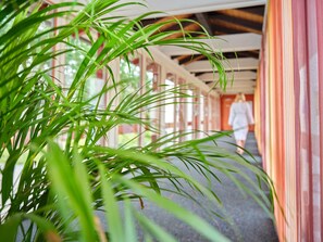 Hot springs - Appartement-Haus Blumenhof (Bad Griesbach im Rottal)