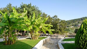 A stone pathway leading through a garden with banana trees and a stone wall. - Villa Galania (Armeni)