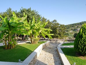 Overnattingsstedets uteområder