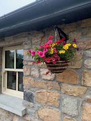 Ein Gebäude aus Stein mit einem Fenster und einem Blumenkasten.