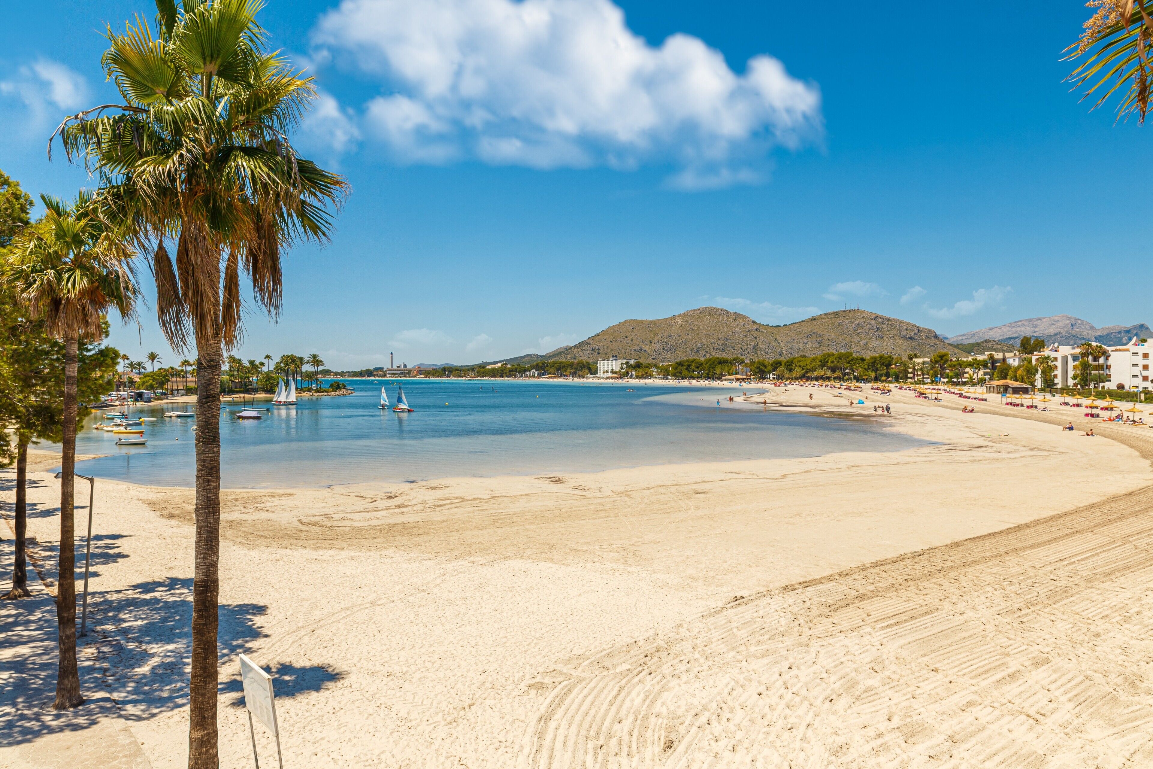 Een strand met palmbomen, een heldere lucht en een berg op de achtergrond.