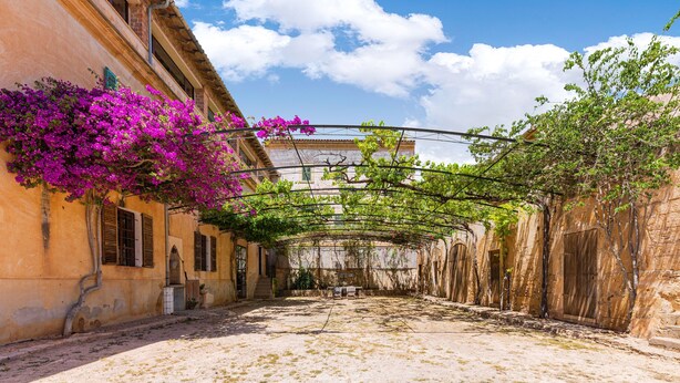 Ein Innenhof mit einem Gebäude an einer Seite, einer Pergola mit Weinreben und blauem Himmel.