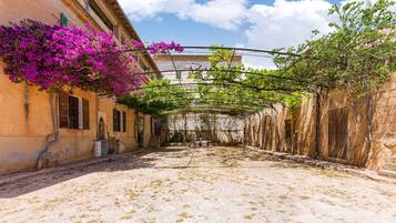 A courtyard with a building on one side, a pergola with vines, and a clear sky.
