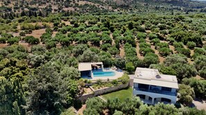 Une villa moderne dotée d’une piscine, le tout entouré d’une végétation luxuriante.