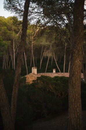 Miscellaneous - Holiday Home "El Taller" at Possessió Sa Barrala with Direct Access to Es Trenc Beach (campos)