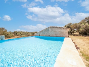 Ein klarer, blauer Swimmingpool mit einer Steinmauer und Stufen, umgeben von trockenem Gras und Bäumen.