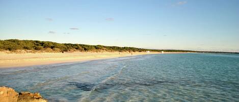 Playa en los alrededores