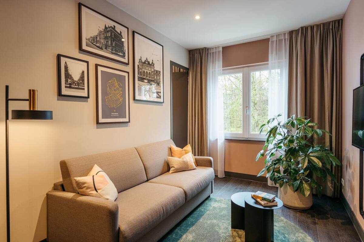 Un salon moderne avec un canapé, des tableaux encadrés, une plante en pot et un téléviseur.