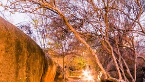 A stone pathway leading through a natural setting with a large rock on the left and trees on the right. - Ondudu Safari Lodge (Omaruru)