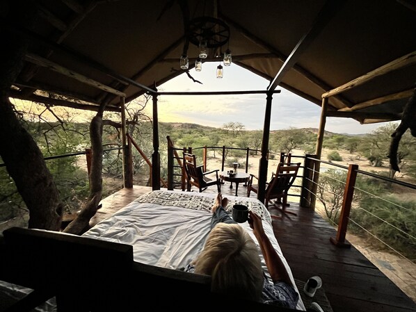 Standard Tree House