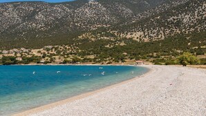 Una playa de guijarros con aguas azul cristalino y colinas verdes al fondo.