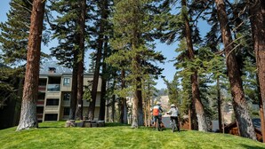 A building surrounded by tall trees, with a grassy area in front.