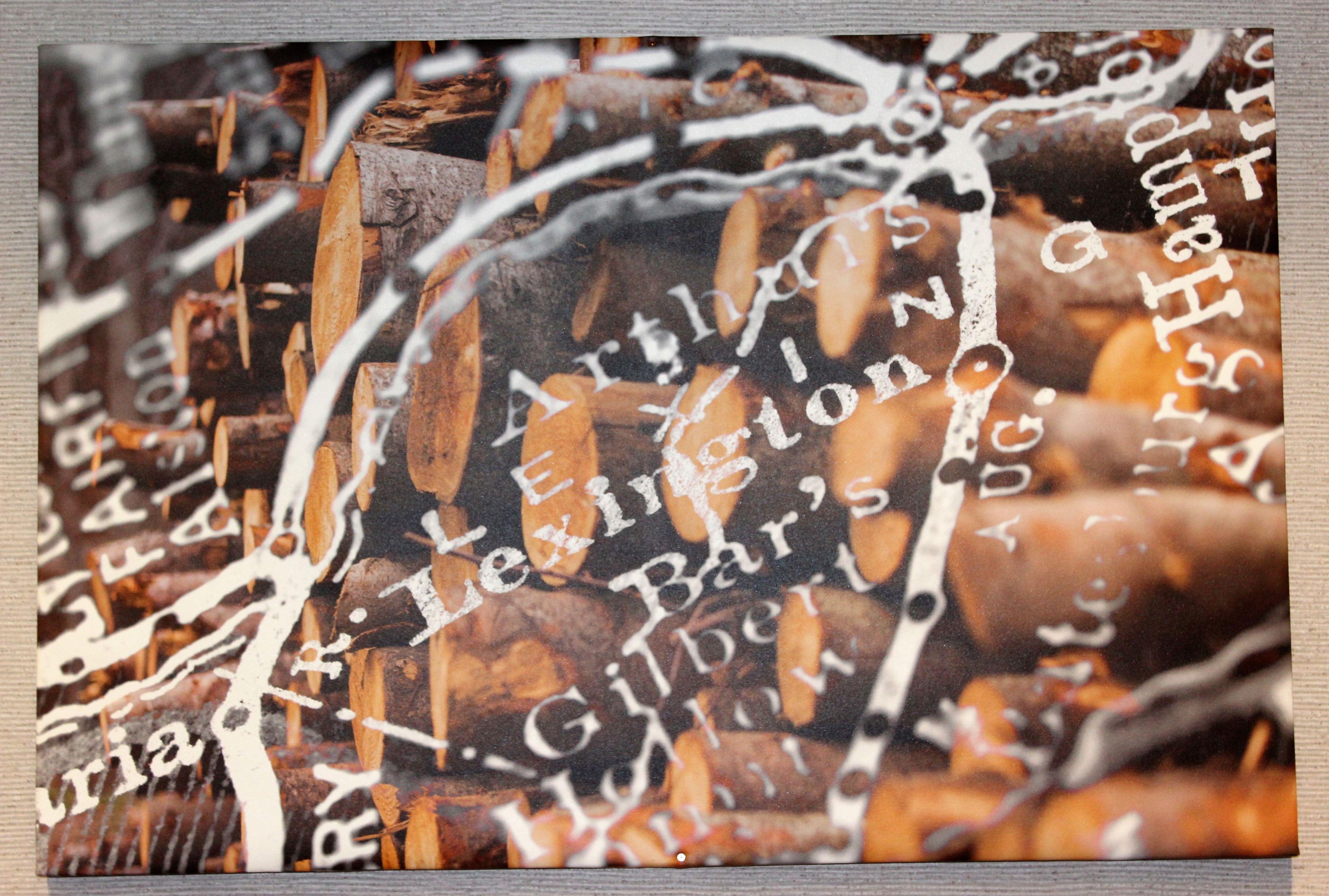 A close-up of a textured surface with overlapping patterns and text, possibly a wall or fabric.