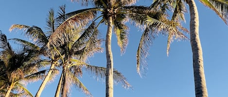 Una playa cerca