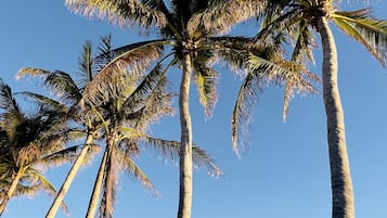 Una spiaggia nelle vicinanze