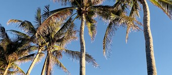 FUENTE ~ Adults Only, 2nd Level Pool View King Room at Azul Mansion!