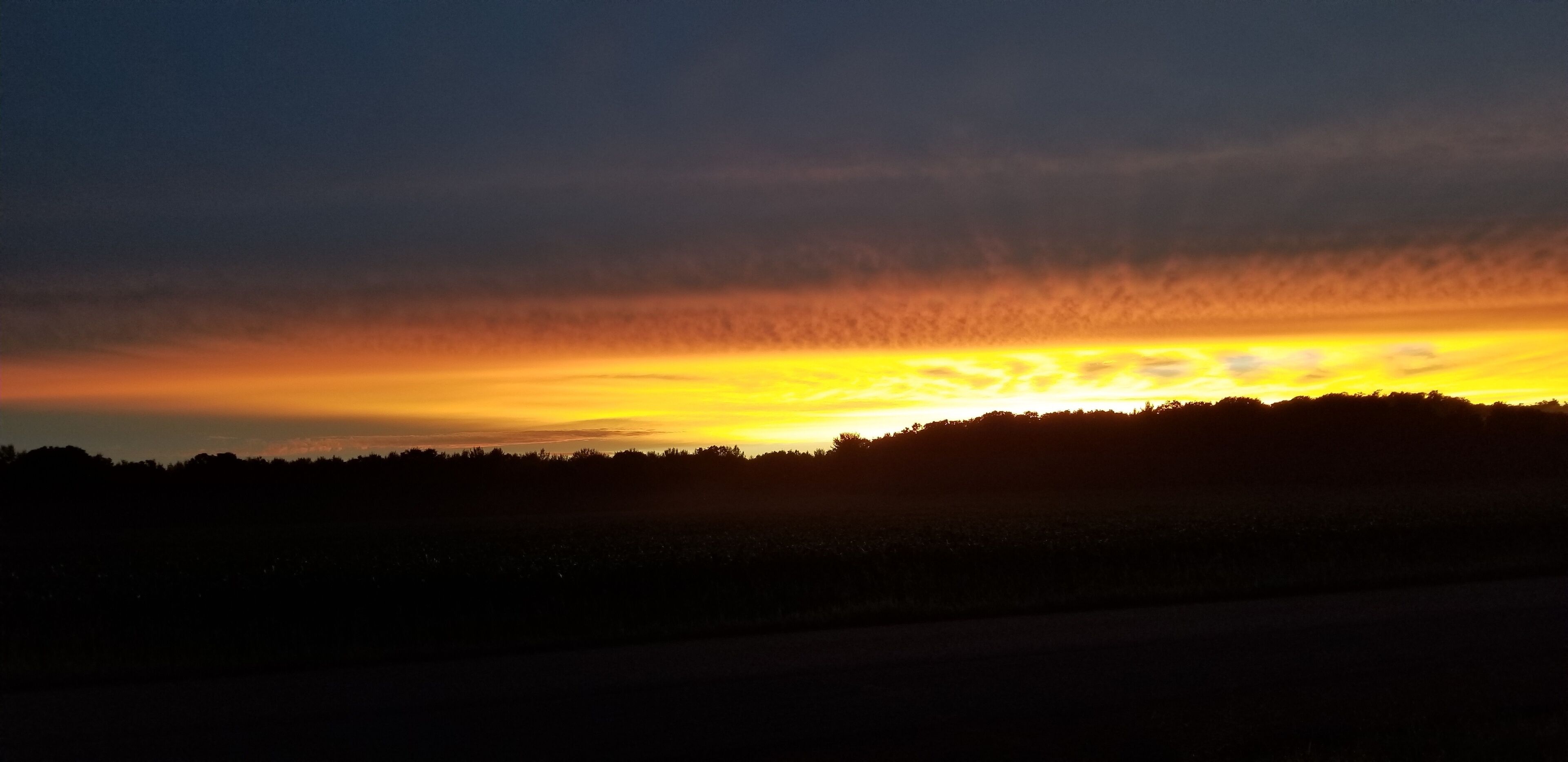 Un coucher de soleil sur une colline boisée, avec un ciel dégagé.