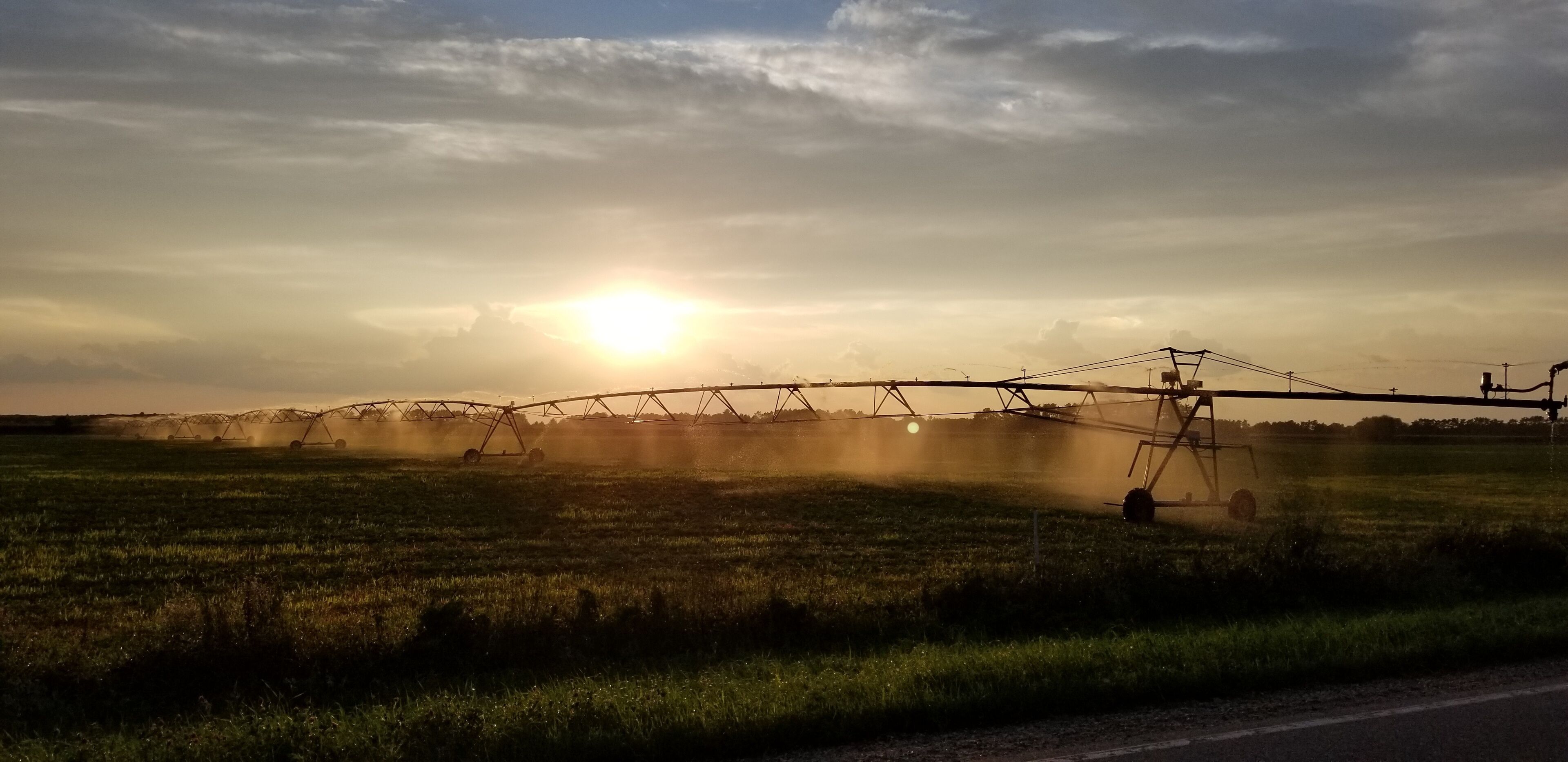 A field with irrigation equipment and a road in the foreground.