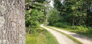 Property grounds - Bluebelle Tiny House in the 'Hundred Acre Woods'! (Grand Marsh)