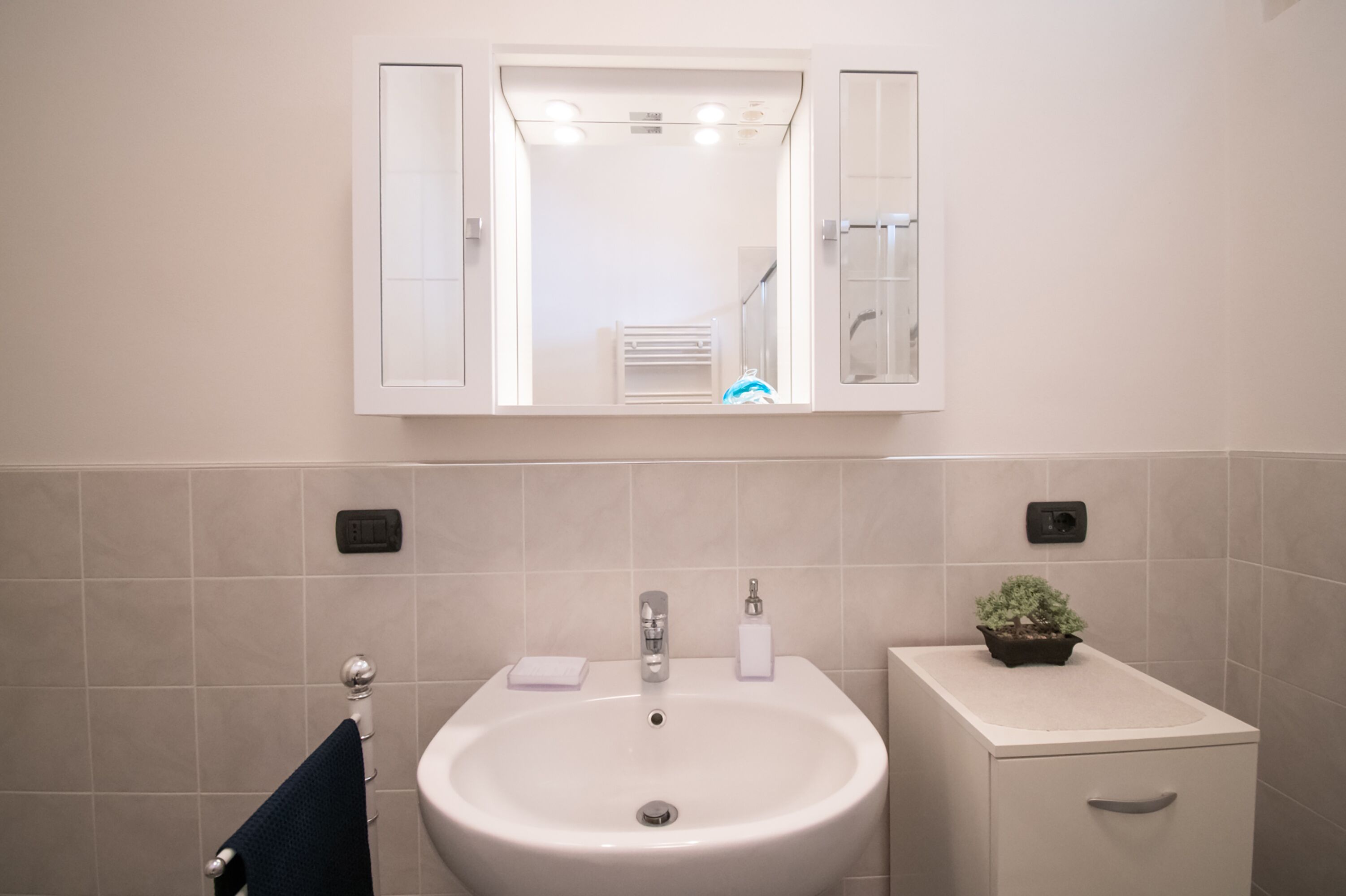 Une salle de bain avec un lavabo blanc, un miroir et une petite plante en pot.