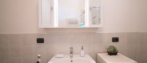 A bathroom with a white sink, a mirror, and a small potted plant.